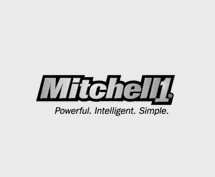 Mitchell 1 repair