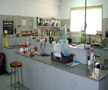 Lab Picture 2